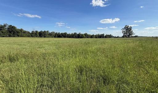 Photo #15 of 2475 Coleridge, Siler City, NC 140.0 acres