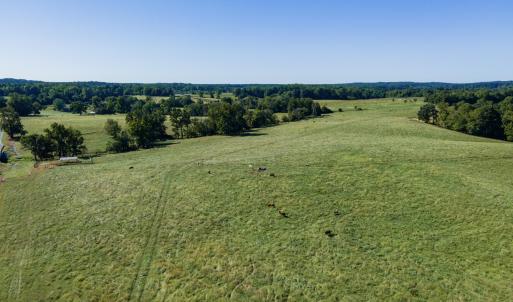 Photo #32 of 2475 Coleridge, Siler City, NC 140.0 acres