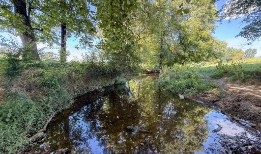 Photo #14 of 2475 Coleridge, Siler City, NC 140.0 acres