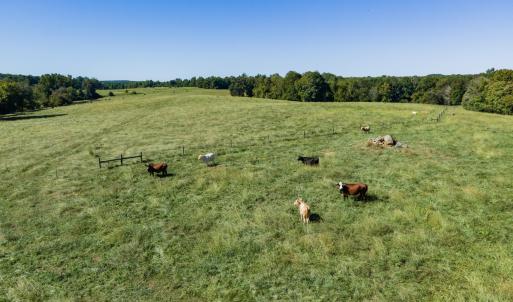 Photo #41 of 2475 Coleridge, Siler City, NC 140.0 acres