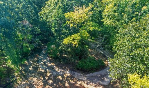 Photo #12 of 1516 Pinecrest, Durham, NC 1.7 acres