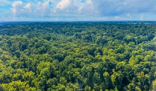 Photo #7 of 1516 Pinecrest, Durham, NC 1.7 acres