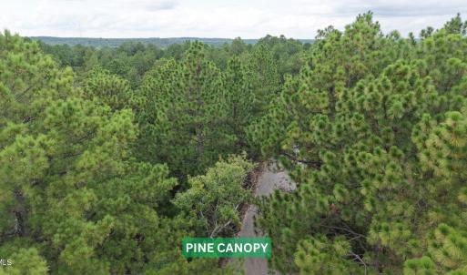 Photo #10 of 599 Mcduffie, Cameron, NC 1.5 acres