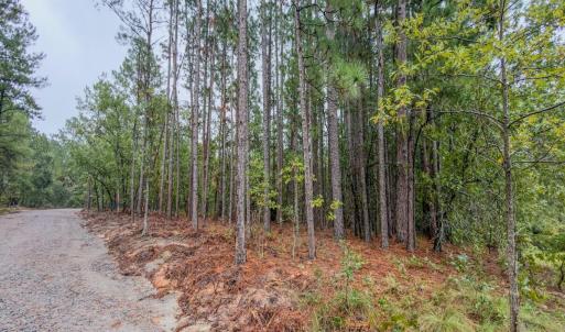 Photo #2 of 599 Mcduffie, Cameron, NC 1.5 acres