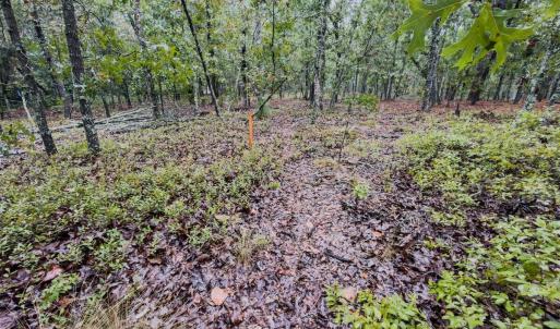 Photo #12 of 599 Mcduffie, Cameron, NC 1.5 acres