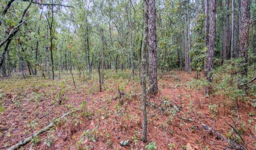 Photo #22 of 599 Mcduffie, Cameron, NC 1.5 acres