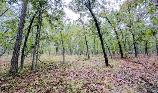 Photo #11 of 599 Mcduffie, Cameron, NC 1.5 acres