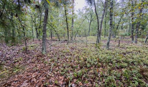 Photo #17 of 599 Mcduffie, Cameron, NC 1.5 acres