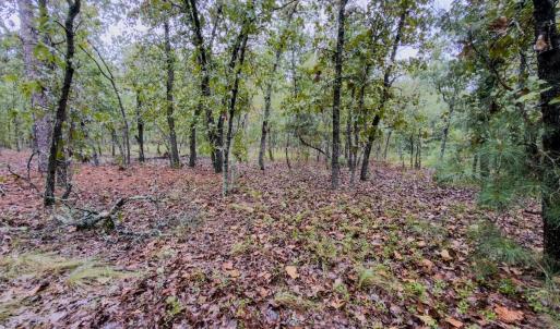 Photo #4 of 599 Mcduffie, Cameron, NC 1.5 acres