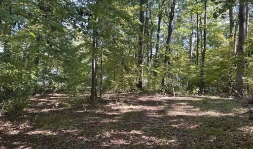 Photo #9 of Lot 19 Sugar Tree, Roxboro, NC 0.8 acres