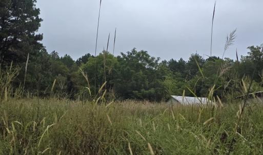 Photo #2 of 734 Cotton, Fuquay Varina, NC 14.0 acres