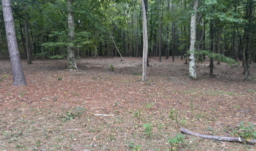 Photo #4 of 4030 Granite Ridge, Raleigh, NC 13.1 acres