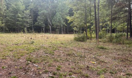 Photo #2 of 4030 Granite Ridge, Raleigh, NC 13.1 acres
