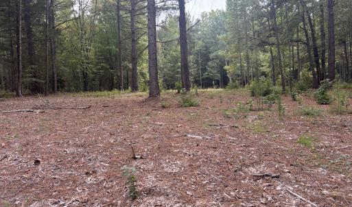 Photo #3 of 4030 Granite Ridge, Raleigh, NC 13.1 acres