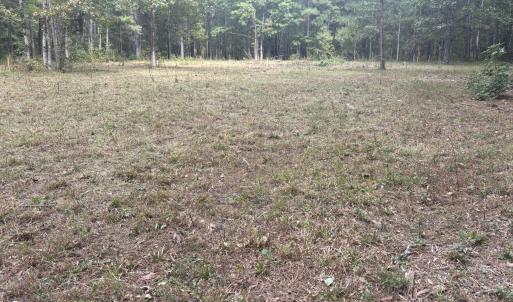 Photo #1 of 4030 Granite Ridge, Raleigh, NC 13.1 acres