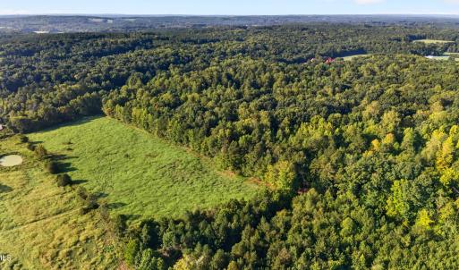 Photo #11 of Tbd 2 Henderson Tanyard, Pittsboro, NC 21.0 acres