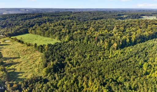 Photo #9 of Tbd 2 Henderson Tanyard, Pittsboro, NC 21.0 acres