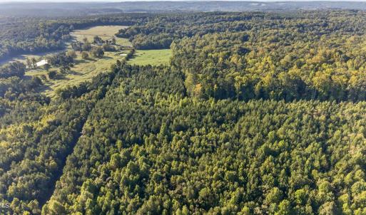 Photo #14 of Tbd 3 Henderson Tanyard, Pittsboro, NC 21.0 acres