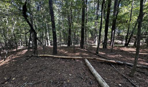 Photo #7 of 1422 Mt Pisgah Church, Apex, NC 1.3 acres