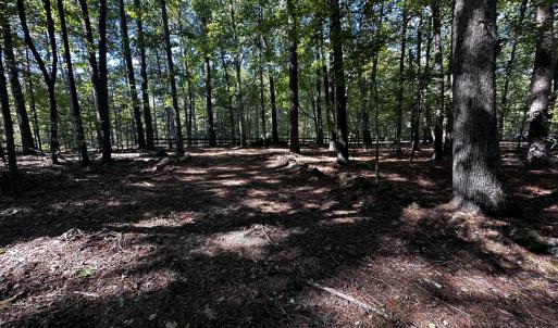 Photo #2 of 1422 Mt Pisgah Church, Apex, NC 1.3 acres