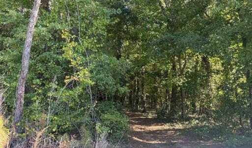 Photo #2 of 5017 Sunset Lake, Apex, NC 0.9 acres