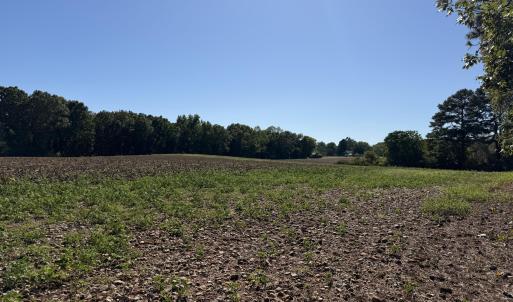 land view
