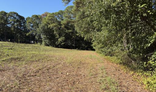 land view