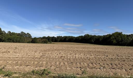land view