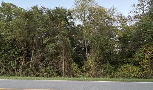 Dense natural privacy buffer