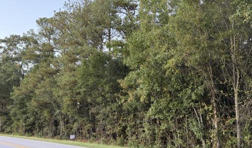 2.4 ac wooded lot on paved road