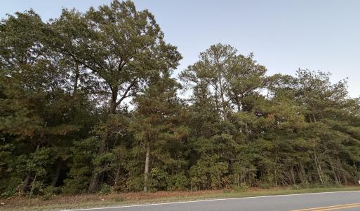 Gentle rolling topography lot