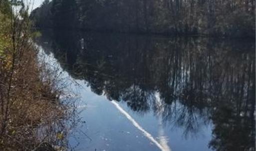 Rear Canal View!