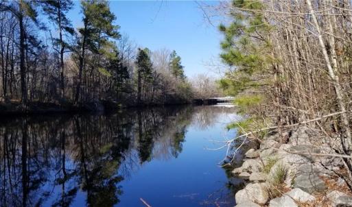 Dismal Swamp Canal View looking North
