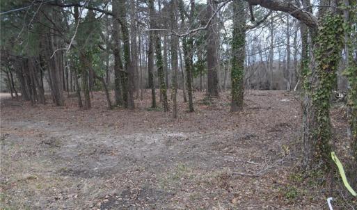 NE Lot corner view with corner marked with flags