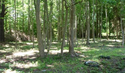 Photo #4 of 1809 Battlefield Boulevard, Chesapeake, Virginia 5.1 acres