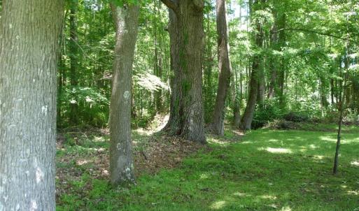 Photo #6 of 1809 Battlefield Boulevard, Chesapeake, Virginia 5.1 acres