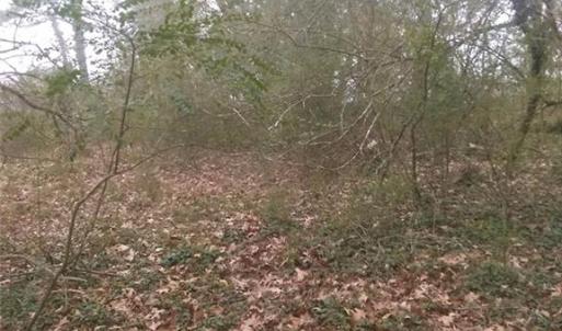 Photo #3 of LOT 15 FARM Road, Smithfield, Virginia 1.5 acres