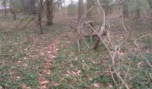 Photo #4 of LOT 15 FARM Road, Smithfield, Virginia 1.5 acres
