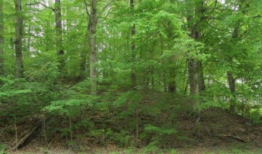Photo #2 of Lots London Bridge (12 & 13A) Drive, Danville, Virginia 0.6 acres