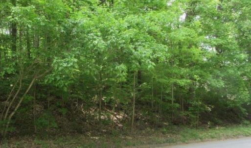 Photo #6 of Lots London Bridge (12 & 13A) Drive, Danville, Virginia 0.6 acres