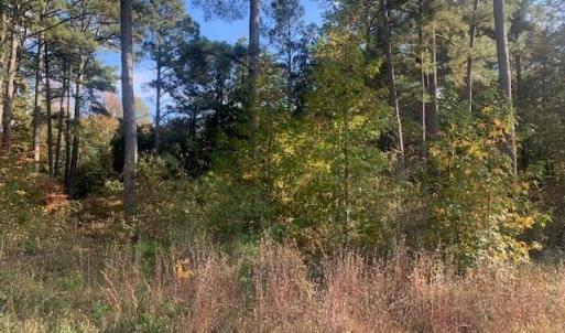 Photo #1 of .42AC Pinehaven Road, Courtland, Virginia 0.4 acres