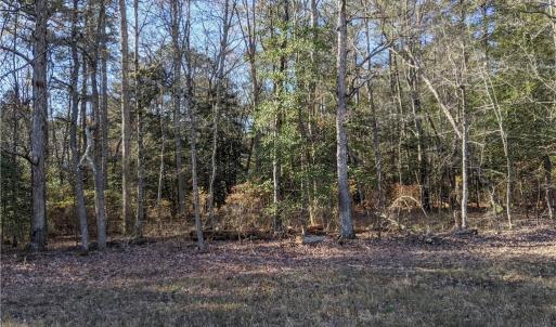 Photo #10 of J.H. Seawell Drive, Gloucester, Virginia 6.6 acres