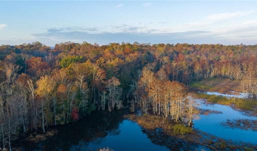 View of the property from Diacsund Creek downstream