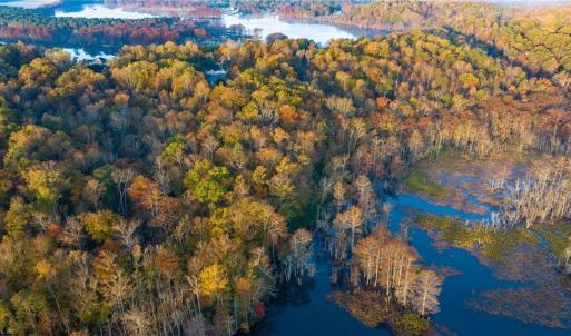 Photo #11 of 15507 Fort James Court, Lanexa, Virginia 8.8 acres