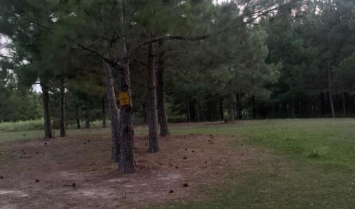 Photo #11 of 122 Ac Benn's Grant (off of) Boulevard, Smithfield, Virginia 122.6 acres