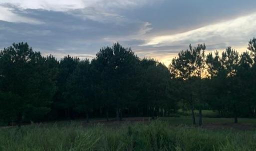 Photo #12 of 122 Ac Benn's Grant (off of) Boulevard, Smithfield, Virginia 122.6 acres