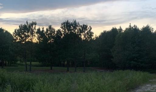 Photo #13 of 122 Ac Benn's Grant (off of) Boulevard, Smithfield, Virginia 122.6 acres