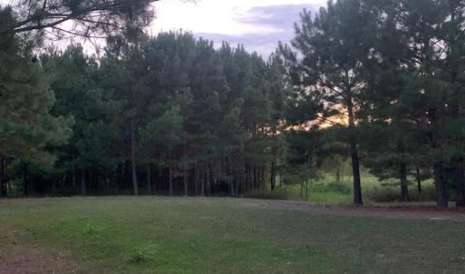 Photo #14 of 122 Ac Benn's Grant (off of) Boulevard, Smithfield, Virginia 122.6 acres