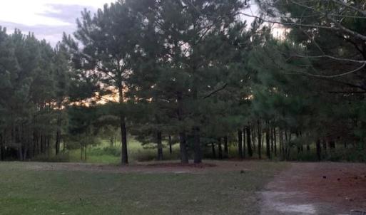 Photo #15 of 122 Ac Benn's Grant (off of) Boulevard, Smithfield, Virginia 122.6 acres