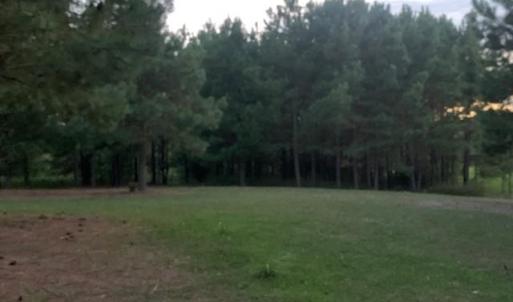 Photo #5 of 122 Ac Benn's Grant (off of) Boulevard, Smithfield, Virginia 122.6 acres